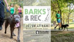 barks and rec 5k